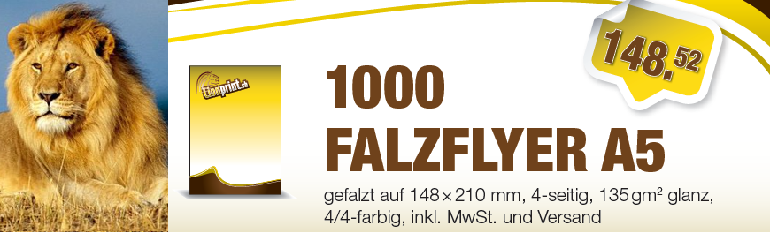 Falzflyer, A5, 